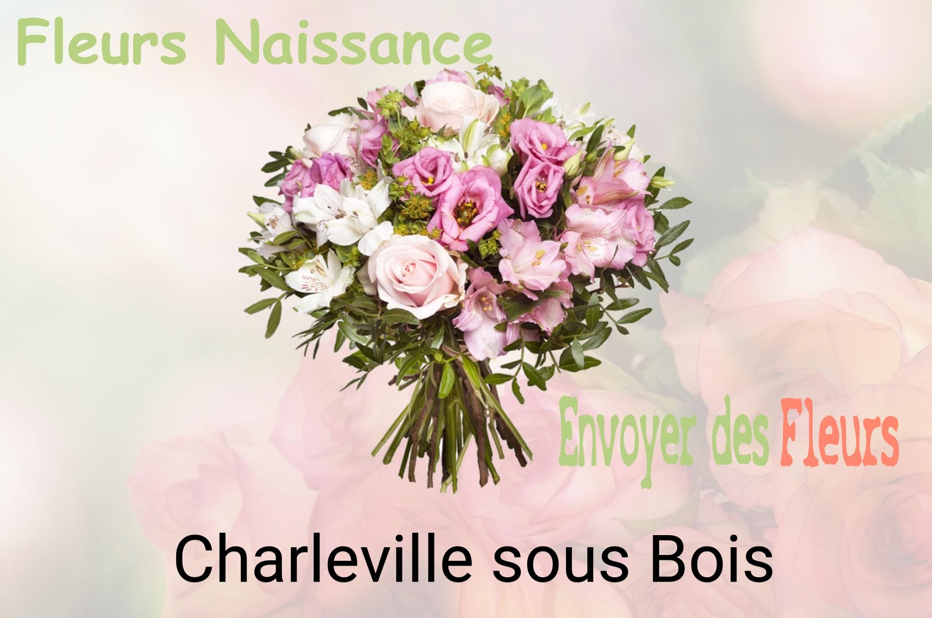 Bouquet de fleurs de naissance livré à Charleville-sous-Bois